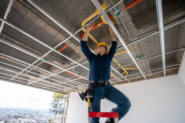 Best Affordable Plumbing Services  in Pevely, MO