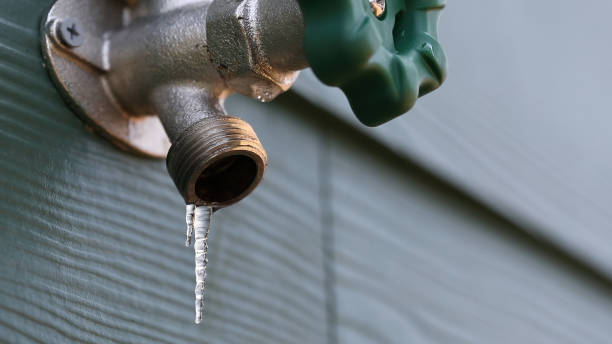 Best Plumbing Inspection Services  in Pevely, MO